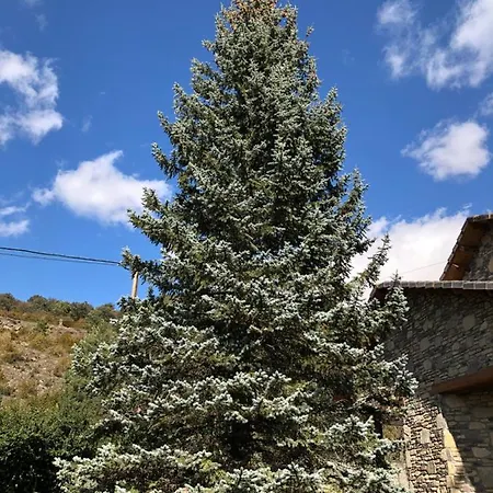 Semesterbostad Casa Marian